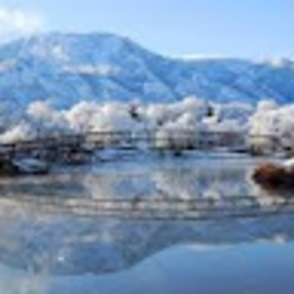 Meet your Posher, Karley